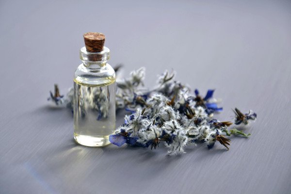 blog-widget